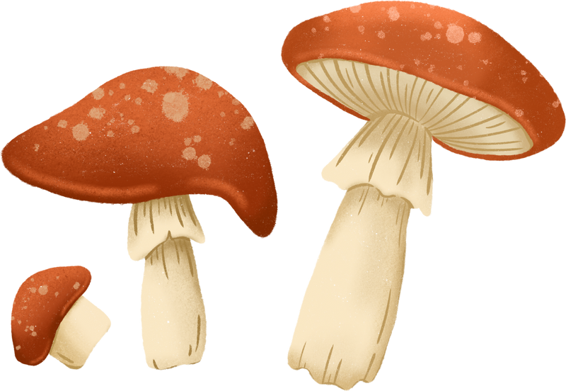 Mushroom Forest Nature Autumn Fall Decoration